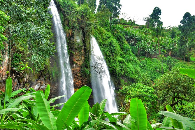 2 Sipi Falls hike and Coffee Tour Experience - Mbale before the falls: culture context and the coffee tour value