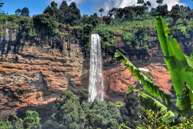 2 Sipi Falls hike and Coffee Tour Experience - Coffee, meals, and the “hidden cost” reality of the $40 price
