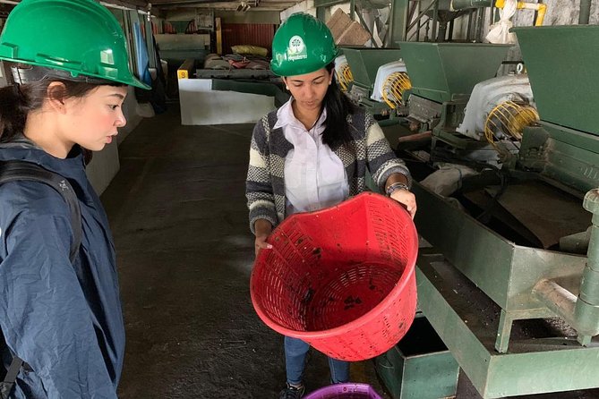 A taste of Aquiares - 2 hours Coffee Tour - The 2-hour flow: from church welcome to cupping