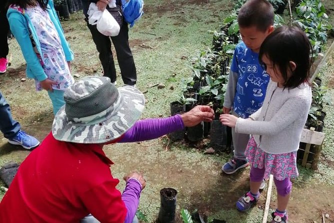 A taste of Aquiares - 2 hours Coffee Tour - Weather and plan B: what happens if conditions aren’t ideal