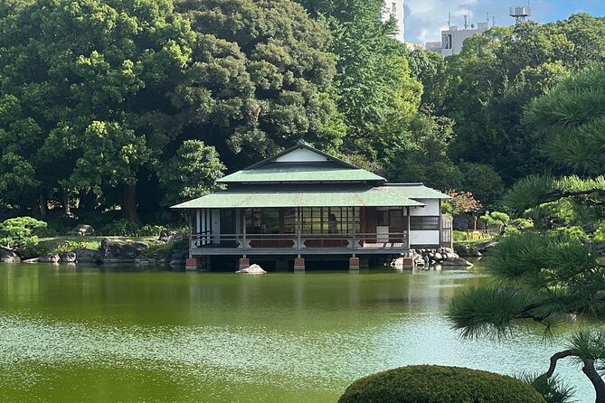 Best of Downtown Tokyo: Nature, Coffee, & Japanese Sweets Tasting - Allpress Espresso Tokyo Roastery & Cafe: third-wave coffee in real life