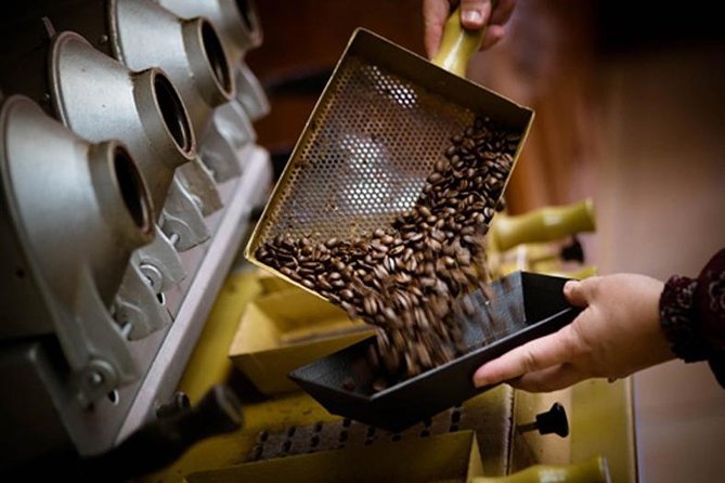 Britt Coffee Tour from San José - Key Highlights Worth Your Time