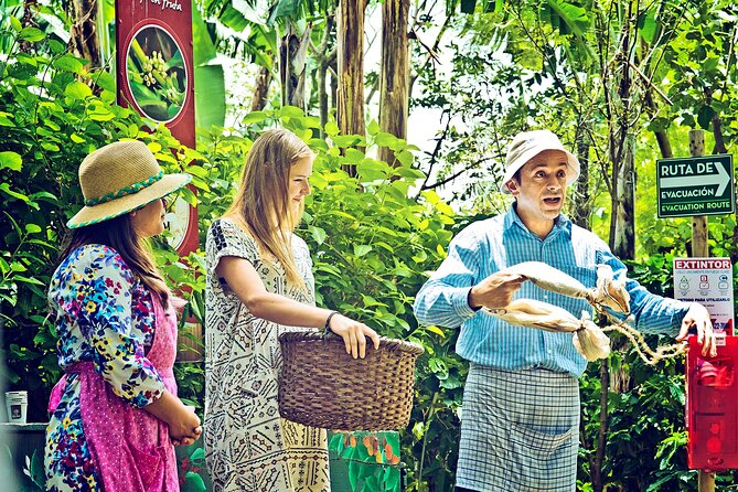Britt Coffee Tour from San José - Price and Logistics: Is $83.80 a Fair Deal?