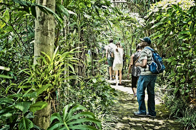 Britt Coffee Tour from San José - Who Should Book the Britt Coffee Tour and Who Might Skip It