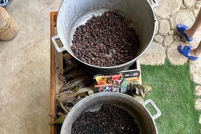 Buggy Adventure Tour with Chocolate and Coffee in Punta Cana - Key things to know before you go