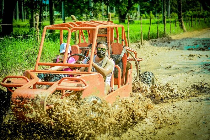 Buggy Adventure Tour with Chocolate and Coffee in Punta Cana - The organic farm stop: coffee, chocolate, and what you’re actually tasting