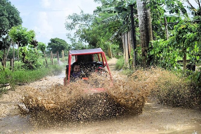 Buggy Off-Roading with Chocolate and Coffee Tasting In Punta Cana - Los Hoyos del Salado Cave Stop: Swim Time + Chocolate and Coffee