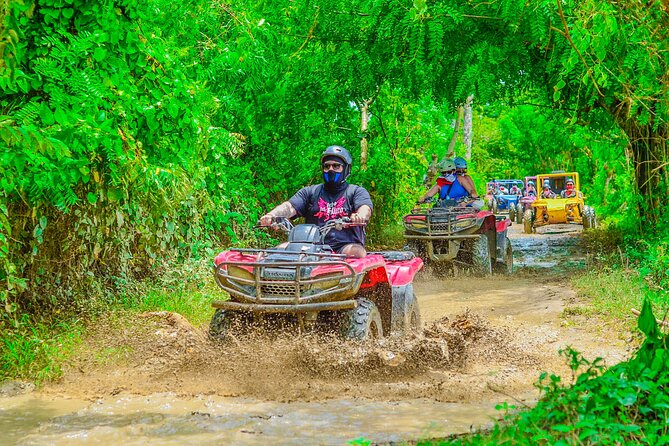 Buggy Ride Into the jungle with cave coffee & chocolate tasting - Who this tour is best for (and who should think twice)