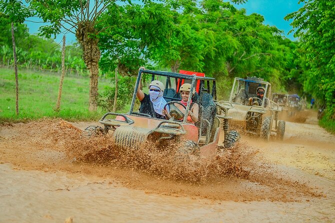 Buggy Ride Into the jungle with cave coffee & chocolate tasting - The chocolate and coffee tasting farm: what you’re really there for