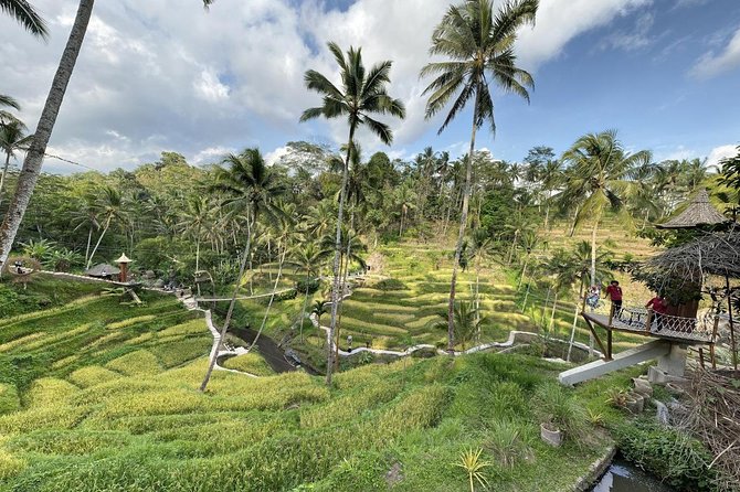 coconut wine and coffee safary tour - What you’ll taste: coffee, tea, and coconut wine samples