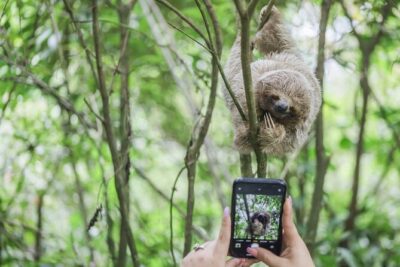 Coffee & Chocolate Tour+Sloths Park & Llanos de Cortez Waterfall - Stop 1: Spring Paradise Bijagua Tours between Miravalles and Tenorio