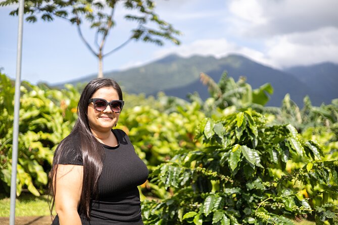 Coffee & Chocolate Tour+Sloths Park & Llanos de Cortez Waterfall - Price and what value you’re really buying at $210