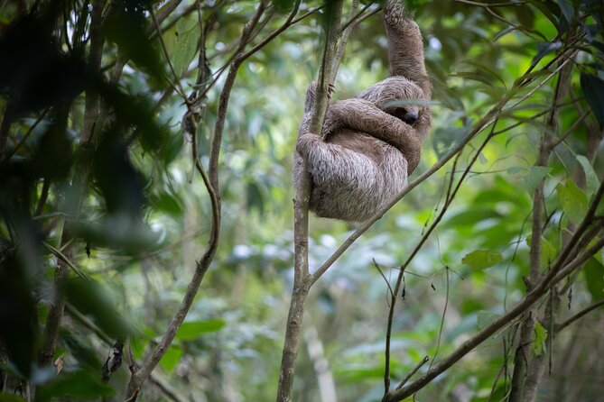 Coffee & Chocolate Tour+Sloths Park & Llanos de Cortez Waterfall - What to pack: rain gear, water confidence, and camera protection
