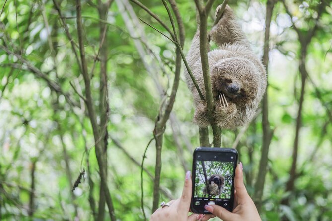 Coffee & Chocolate Tour+Sloths Park & Llanos de Cortez Waterfall - Stop 1: Spring Paradise Bijagua Tours between Miravalles and Tenorio