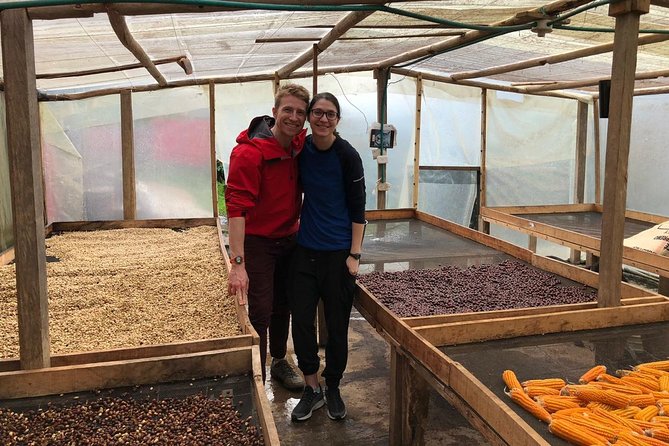 Coffee Farm and Salento Walking Tour - Should you book this coffee farm and Salento walking tour?