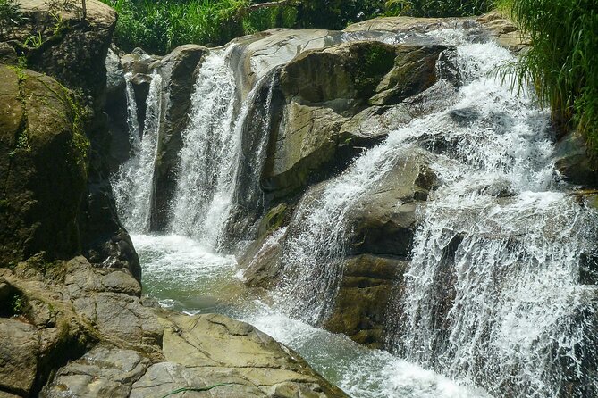 Coffee Plantation and River with Waterfalls in Puerto Rico - Rio Siete Chorros Waterfalls: The Part Most People Actually Remember