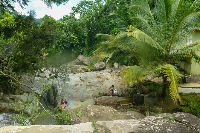 Coffee Plantation and River with Waterfalls in Puerto Rico - Guide Quality: What to Expect and How to Make It Better