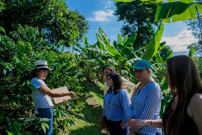 Coffee Tour. - Key things I found most compelling