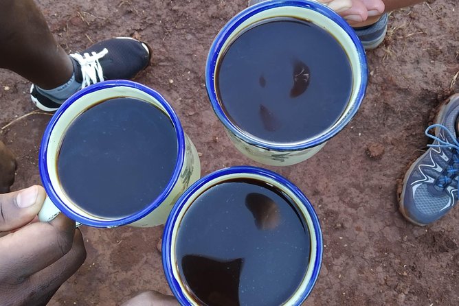 Coffee Tour Experience - Price and value: $15 for coffee (and what you bring yourself)