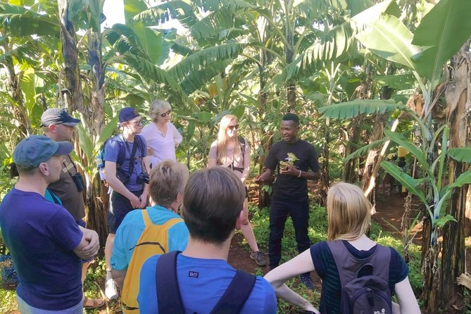 Coffee Tour Experience - Practical tips to make your day smoother