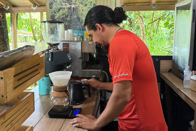 Coffee & Waterfalls Tour: from the mountains to the cup - Cascada Las Delicias: accessible waterfall time and a natural swimming pool