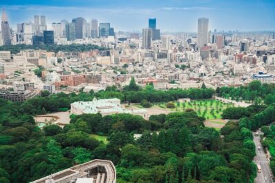 Discover Japanese Politics Over a Coffee in Tokyo - How the 90 Minutes Works (and What You Can Expect to Talk About)