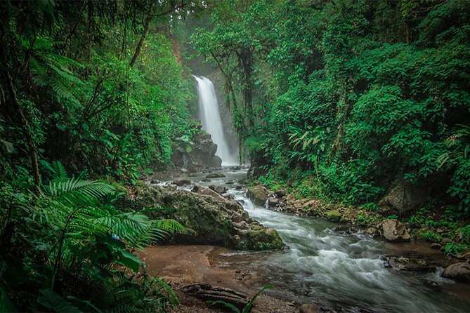Doka Coffee Tour, Poas Volcano and La Paz Waterfall Day Trip from San Jose - Stop 1: La Paz Waterfall Gardens with aviary, butterflies, hummingbirds, and more