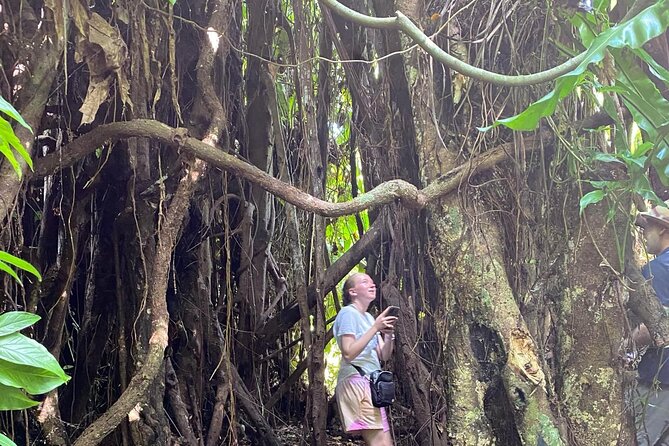 Efate Highlights: LocalVillage Walk, Coffee Tasting & Beach Chill - Getting to Southwest Efate: pickup, timing, and small-group comfort