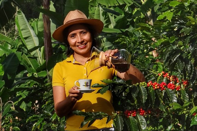 Explore the Coffee Process_From Tree to Cup & Fun by Jeep - Key things worth knowing before you go