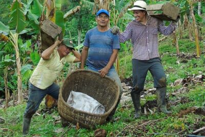 Explore the Coffee Process_From Tree to Cup & Fun by Jeep - A Working Coffee Finca, Not a Theme Park