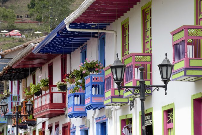 Full-Day Private Coffee Tour in Cocora Valley and Salento - Salento town walk: orientation, charm, and pacing on purpose