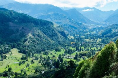 Full-Day Private Coffee Tour in Cocora Valley and Salento - Valle de Cocora: wax palms, easy walking, and bird-friendly guidance
