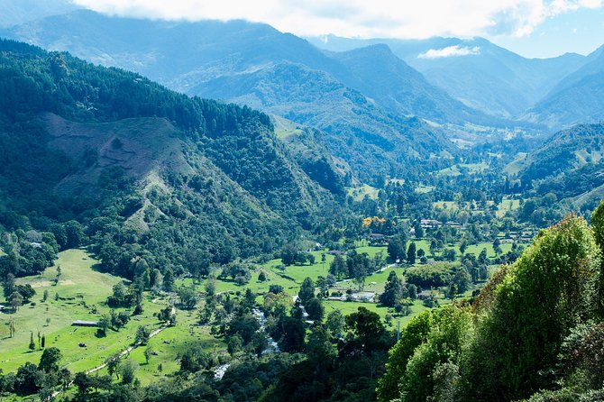Full-Day Private Coffee Tour in Cocora Valley and Salento - Valle de Cocora: wax palms, easy walking, and bird-friendly guidance