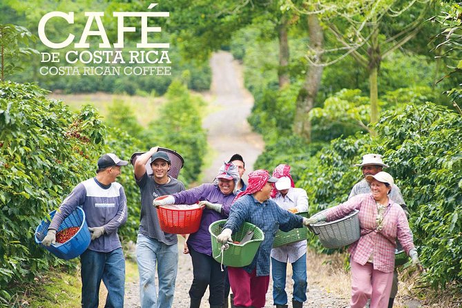 Horseback our Hacienda - 4 hours Coffee Tour - Aquiares coffee on horseback: the vibe of this 4-hour tour