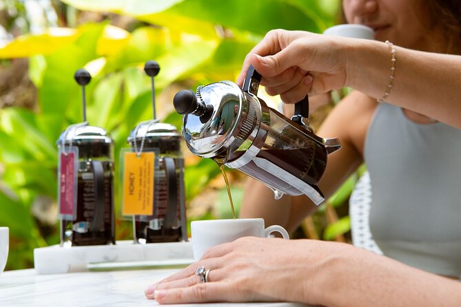 Kona Coffee Tasting: A Farm to Cup Experience - Inside the Coffee LAB: what the session feels like