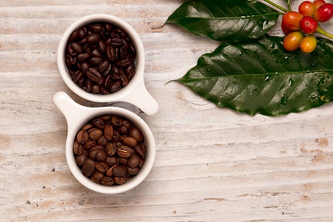 Kona Coffee Tasting: A Farm to Cup Experience - The three-cup flight: varieties, processing, and roast explained