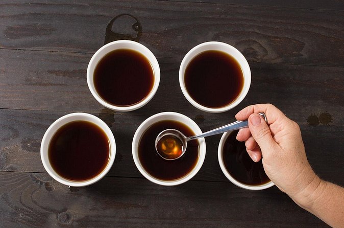 Kona Coffee Tasting: A Farm to Cup Experience - Ocean views, casual pacing, and a group that stays small