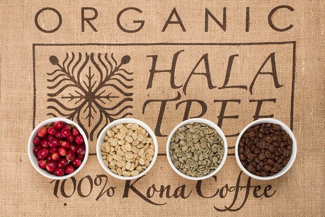 Kona Coffee Tasting: A Farm to Cup Experience - Price and value: why $10 works here
