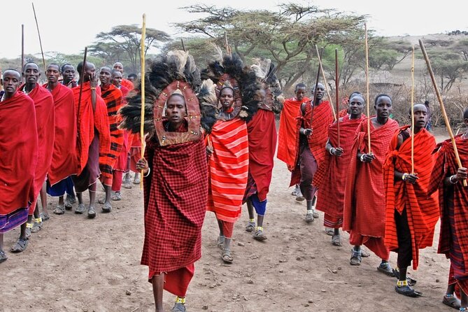 Maasai village visit, Materuni waterfalls & coffee experience - Coffee plantation: making your own cup in a real process