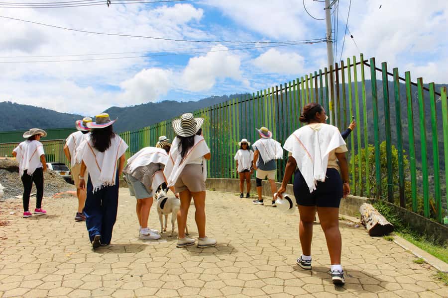 Medellín Coffee Farm Tour with Trolley and Cable Car Ride - Should You Book This Medellín Coffee Farm Tour?