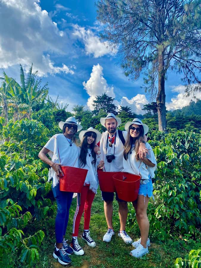 Medellín Coffee Farm Tour with Trolley and Cable Car Ride - From San Antonio Station to City-High Views