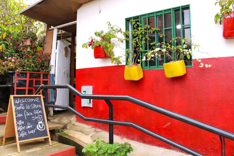 Medellín Coffee Farm Tour with Trolley and Cable Car Ride - Harvesting Coffee Berries: The Real Work of a Cup