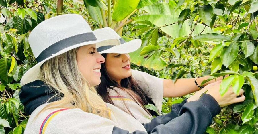 Medellín Coffee Farm Tour with Trolley and Cable Car Ride - How Much This Costs—and Why It Feels Fair