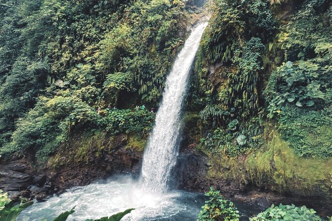 Poás Volcano and Coffee Tour with Tasting and La Paz Falls - Why This San José Tour Works: Volcano, Coffee, Waterfall, One Day