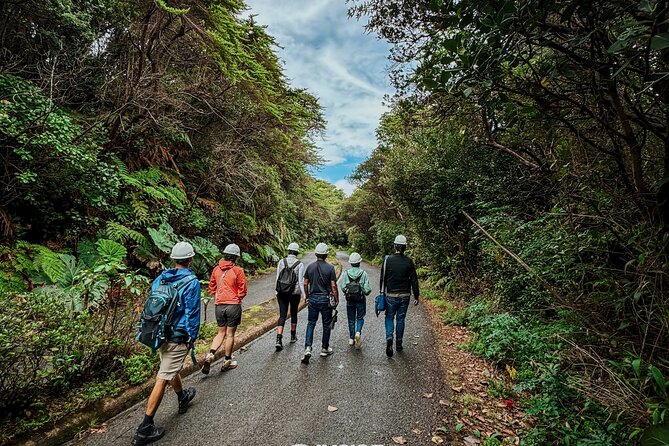 Poás Volcano and Coffee Tour with Tasting and La Paz Falls - Stop One in San José Area: Strawberry and Dairy Country