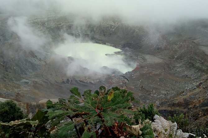 Poas Volcano waterfalls and coffee tour from from San Jose - Key Things I’d Mark on Your Map