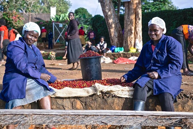 Private Half-Day Tour in Fairview Coffee Farm from Nairobi - A Quick Trip Out of Nairobi to Fairview Coffee Estate