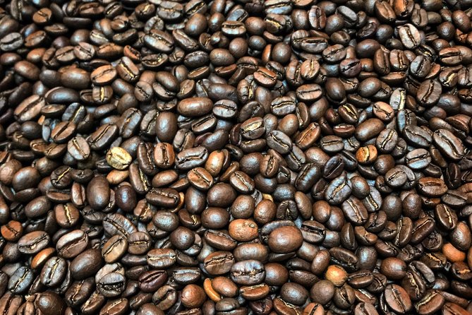 Roasting Experience at 14th Coffee Co - Touring the property: 1950s truck, Airstream, gardens, and a greenhouse