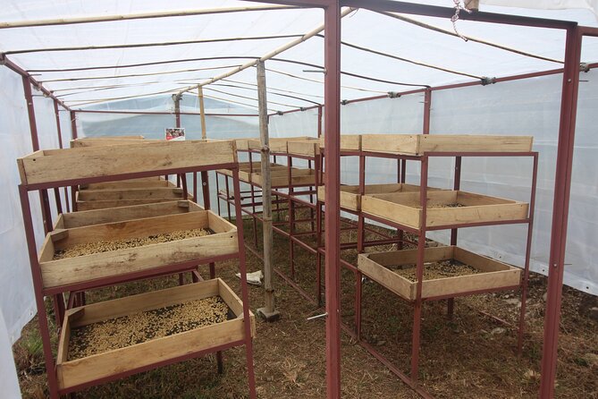 Sarangkot Village Coffee Culture and Authentic Local Life Tour - Why Sarangkot coffee culture beats a standard day tour