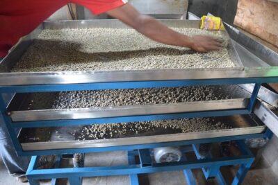 Sarangkot Village Coffee Culture and Authentic Local Life Tour - The $60 price: what you’re actually getting for your money